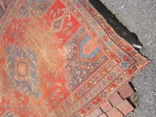 antique persian rug, probably a larger than normal Afshar , great colors 5' 1" x 6' 6" as shown worn missing one corner no dry rot no holes 385.00 plus shipping SOLD  ...