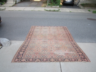 Rare estate find antique 1880 farahan sarouk rug measuring 6' 10" x 9' 10" even dense low pile  all around both ends are missing a row or two has dry foundation  ...