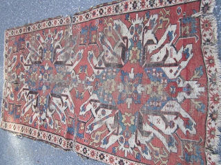 antique eagle kazak 3' 9" x 6' 10" in poor condition fragment nice design 185.00 plus shipping SOLD THANKS              