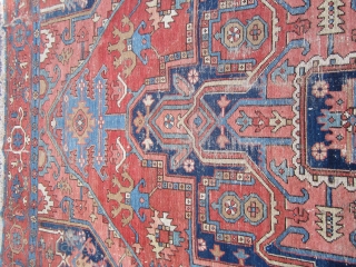 antique serapi solid rug great colors has wear can send more pictures if interested 8' 9" x 11' 9". SOLD THANKS            