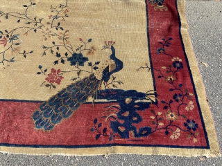 Antique Art Deco Chinese rug measuring 9’ x 11’ 4” great colors big animal peacock motif solid rug no pets and no smoke no dry rot has scatter usual wear no stain  ...