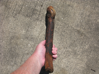 Old Irish root ball Shillelagh, hand caved, blackthorn wood, chimney smoked, it has a beautiful shiny black patina from the smoke, a 3 leaf clover is painted in green on the top,  ...