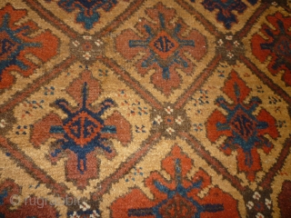 Balouch/NW Persian? Not my area or particular interest. Cute little rug with traditional colours and age. Well drawn. Goat selvedges? A few red and blue idiosyncracies in one half of the rug.  ...