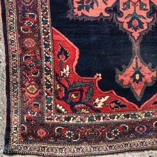 Late 19 century Bijar rug 4.6 x 6.9                         