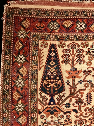 19th century Afshar Rug (Neyriz)                            