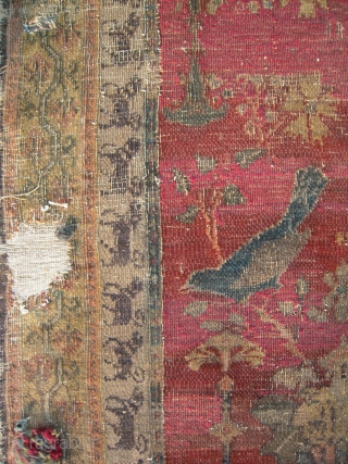 Mughal? Rug                               