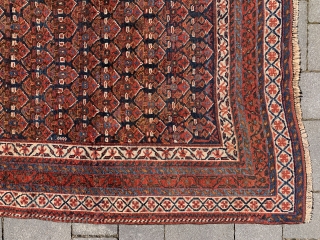 Cute Afshar rug…260 cm x 140 cm. Nice usable condition and priced to sell quick.Good colours plus sides and ends are tight.           