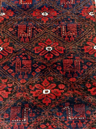 Antique Khorassan area Baluch rug with peacocks 
Ca 1900 in excellent condition no repairs all wool natural dyes original ends and sides           