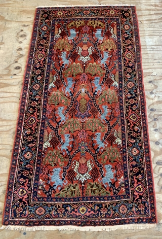 Nice antique bijar lion rug ask for more details                        