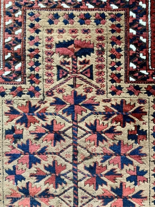 Here is a lovely antique camel ground Baluch prayer rug ca 1880.   Super soft camel wool field very finely knotted  187 k p s I ( 11 horizontally 17  ...