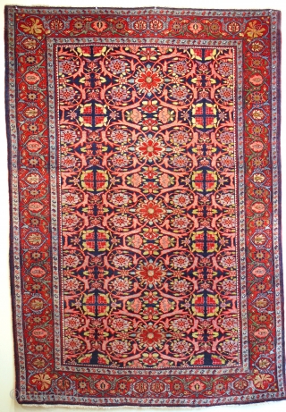 Fine antique Bijar rug in excellent condition ca 1910 size 216 x 150. All natural dyes cotton foundation. A heavy bullet proof piece with very good drawing reminiscent of Kashans   