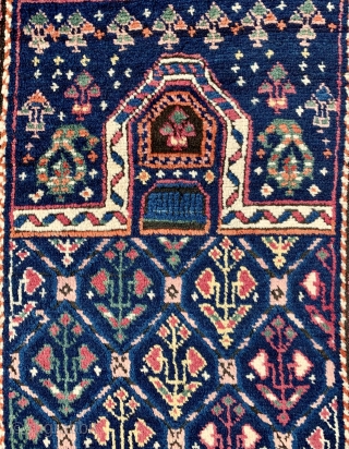  fresh in a beautiful antique Genje (?) rug ca 1880 in full pile all natural dyes including two shades of cochineal.  Beautiful piece size 177 x 87 cm   