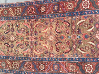Very nice antique Bakshaish runner ca 1880 size 410 X 102 cm.
Natural dyes wool pile cotton foundation generally good condition bit of wear one corner detailed kelim finish one
End. Original selvedges present  ...