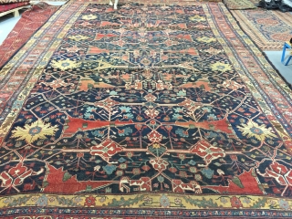 Lovely and Massive Bijar Garrus carpet ca 1880
17 ft 9 x 11 ft 4 (5.41 x 3.45 m)
All wool natural dyes heavy but floppy no cracking.
One repair detailed other smaller bits but  ...