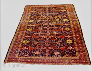 Lovely and Massive Bijar Garrus carpet ca 1880
17 ft 9 x 11 ft 4 (5.41 x 3.45 m)
All wool natural dyes heavy but floppy no cracking.
One repair detailed other smaller bits but  ...