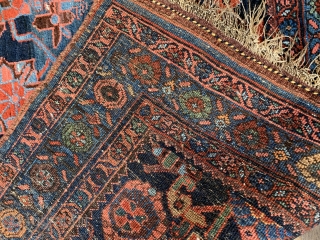 Beautiful antique Bijar rug in excellent condition all wool foundation natural dyes late 19 c
228 x 143 cm               