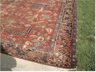 Antique Estate Heriz. It had been lightly painted like the old Sarouks. If you look at the picture of the rug rolled up you can better tell what the original color was,  ...