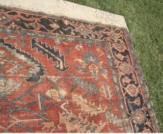 Antique Estate Heriz. It had been lightly painted like the old Sarouks. If you look at the picture of the rug rolled up you can better tell what the original color was,  ...