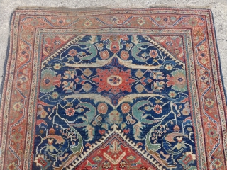 An early Mahal with impressive design and color. Many of the designs derive from Western Anatolian weavings especially those found in rugs from 17century Smyrna, 18th century Kula Demirci, and Kula Blossom  ...