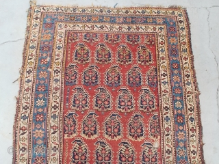 I believe this Kurd runner to be of the late 19th century. The soft rosy red background of the field and the soft light blue main border with its flanking white minor  ...