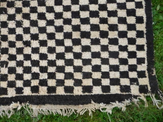  SOLD  Tibetan checkerboard rug, collected in Tibet in the early 20th c. interesting provenance, small damage to two corners otherwise good condition,5ft3in x 2ft11in.       