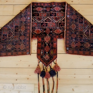  An early 20th century Ersari Kapunuk/Khalyk/Trapping 
 A large trapping (164 x 46 (74)cm in very good condition, complete, (with the exception of the 'internal' braided tassels), with a full dense  ...