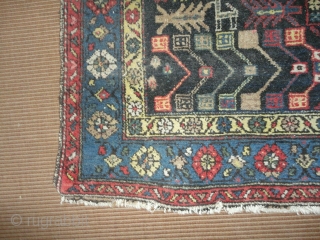 Nice Hamedan rug. 165 x 125 cm.                          