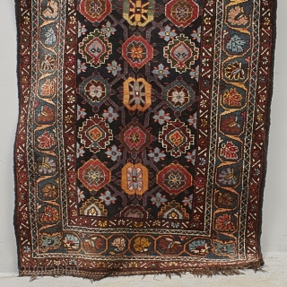 Luri runner, 290 x 108 cm.                           