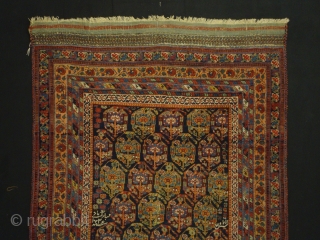 Afshar ca:1900
size is 162x106

According to text on the carpet it was a wedding gift to a couple and to wish them a good marriage

Text center right: called (asked) prayer 
Text down right:  ...