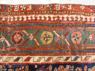 Kurdish rug, mid 19th century. 293 x 134 cm.                        