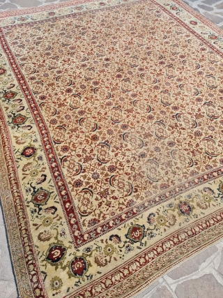 antique agra rug india good condition needs some smalls repairs size:290x245 cm                     