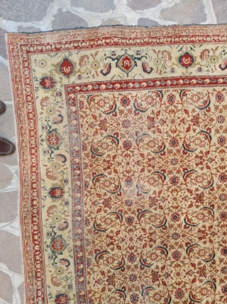 antique agra rug india good condition needs some smalls repairs size:290x245 cm                     