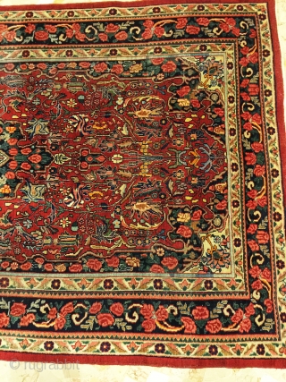 Beautiful bijar gol farang antique size 270x160                          