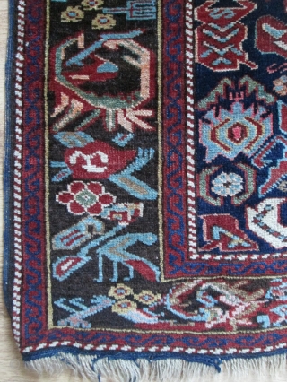 Bidjov rug

sizes:one part 111/177,5 cm
the another part 116/173,5 cm

                        