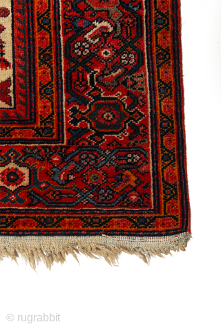 1920s Ferahan with blue wefts. Excellent condition. Original selvedges and ends. No repairs, no repiles. Solid rug. Priced to sell. 80" x 50"          