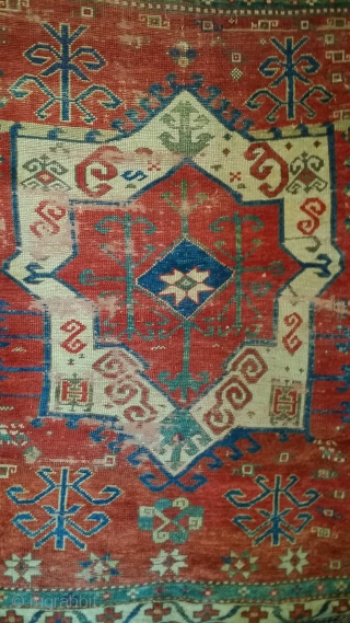 Kazak Rugs from the Dixon Collection                           