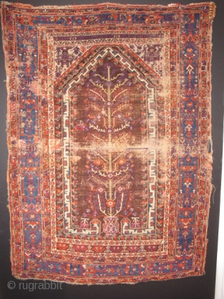 Anatolian Prayer Rug Exhibition Part 1                           