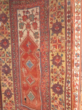 Anatolian Prayer Rug Exhibition Part 1                           