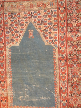 Anatolian Prayer Rug Exhibition Part 1                           