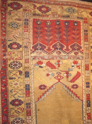 Anatolian Prayer Rug Exhibition, part 2                           