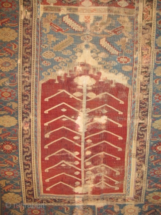 Anatolian Prayer Rug Exhibition, part 2                           