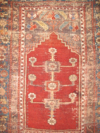 Anatolian Prayer Rug Exhibition, part 2                           