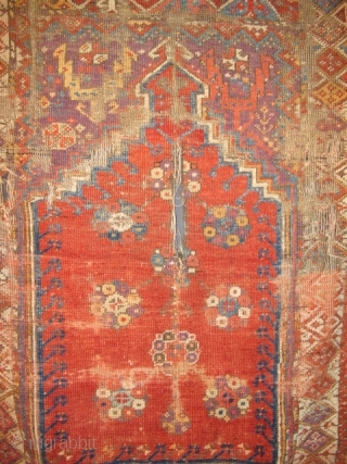 Anatolian Prayer Rug Exhibition, part 2                           