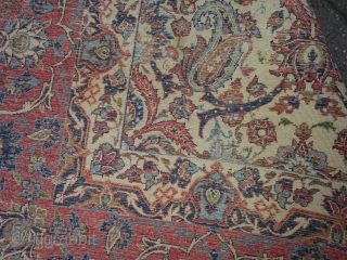 Isfahan circa 1920 approx. 330x240 cm. Cotton warp, cotton weft, wool pile

More infos on request

Worldwide Shipping
                 