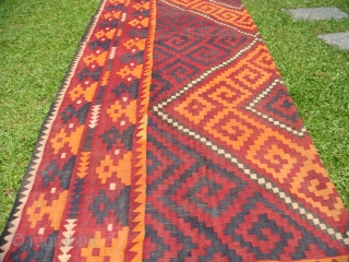 Hazara Kilim from Sar-i-Pul, Afghanistan. Mid-1960's. Wool on Wool. 
Approx. size: Length: 15ft (457.2cm). Width: 9ft 5 in. (287cm).
Hazara Kilims are often wrongly categorized as Almar or Maimana Kilims
(perhaps due to design  ...