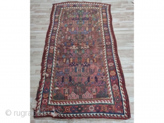 Antique Persian sauctbulah Rug size:268x145 cm /8'9"x 4'9"                         