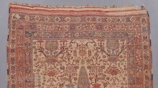 A great early Afshar measuring 4'11" x 4'2". 

Visit our website for more rare woven art : www.bbolour.com               