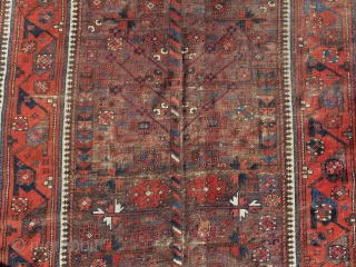 Iconic Khorosan Baluch tree rug on a brown ground with an older Timuri border type.                  