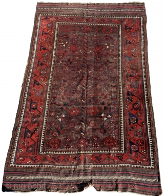 Iconic Khorosan Baluch tree rug on a brown ground with an older Timuri border type.                  