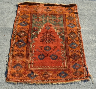 Turkish prayer rug. The middle of the field has been re-stitched together.

4'10" x 3'6".                   